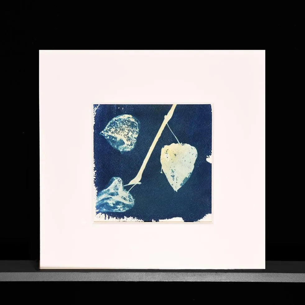Blaudruck | Floral | 3 Lampions - Pixel Cafe Cologne Abstrakt, Alternative Fotografie, Art, Blau, Blaudruck, Cyanotype, Cyanotypie, Druckkunst, Floral, Geschenk, Geschenkartikel, Geschenkidee, Kunst, Kunst aus Köln, Kunstdruck, Unikat