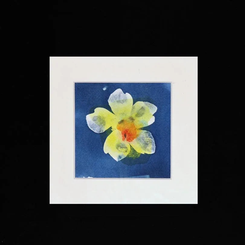 Blaudruck | Floral X - Pixel Cafe Cologne Abstrakt, Alternative Fotografie, Art, Blau, Blaudruck, Cyanotype, Cyanotypie, Druckkunst, Floral, Geschenk, Geschenkartikel, Geschenkidee, Kunst, Kunst aus Köln, Kunstdruck, Unikat