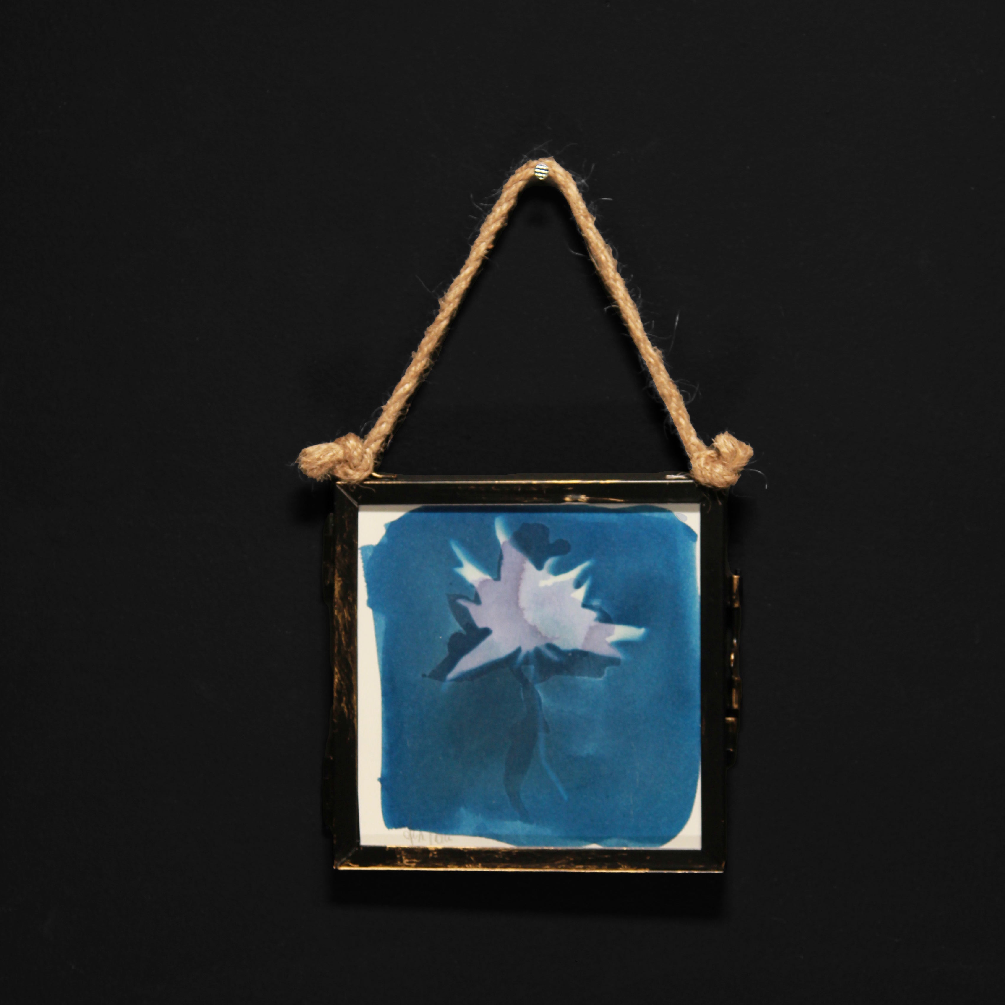 Cyanotype | Floral motif in glass frame | 10 x 10 cm