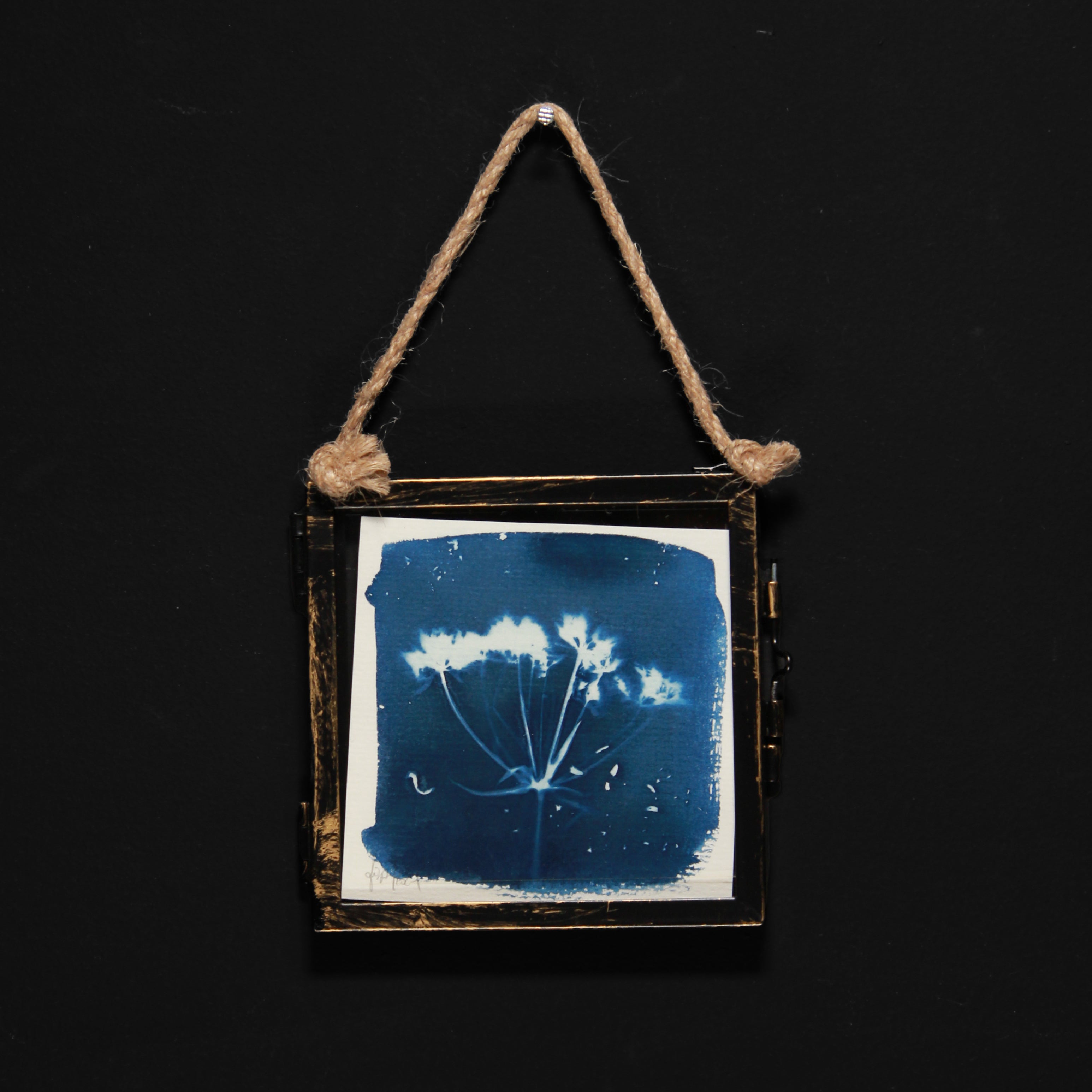 Cyanotype | Floral motif in glass frame | 10 x 10 cm