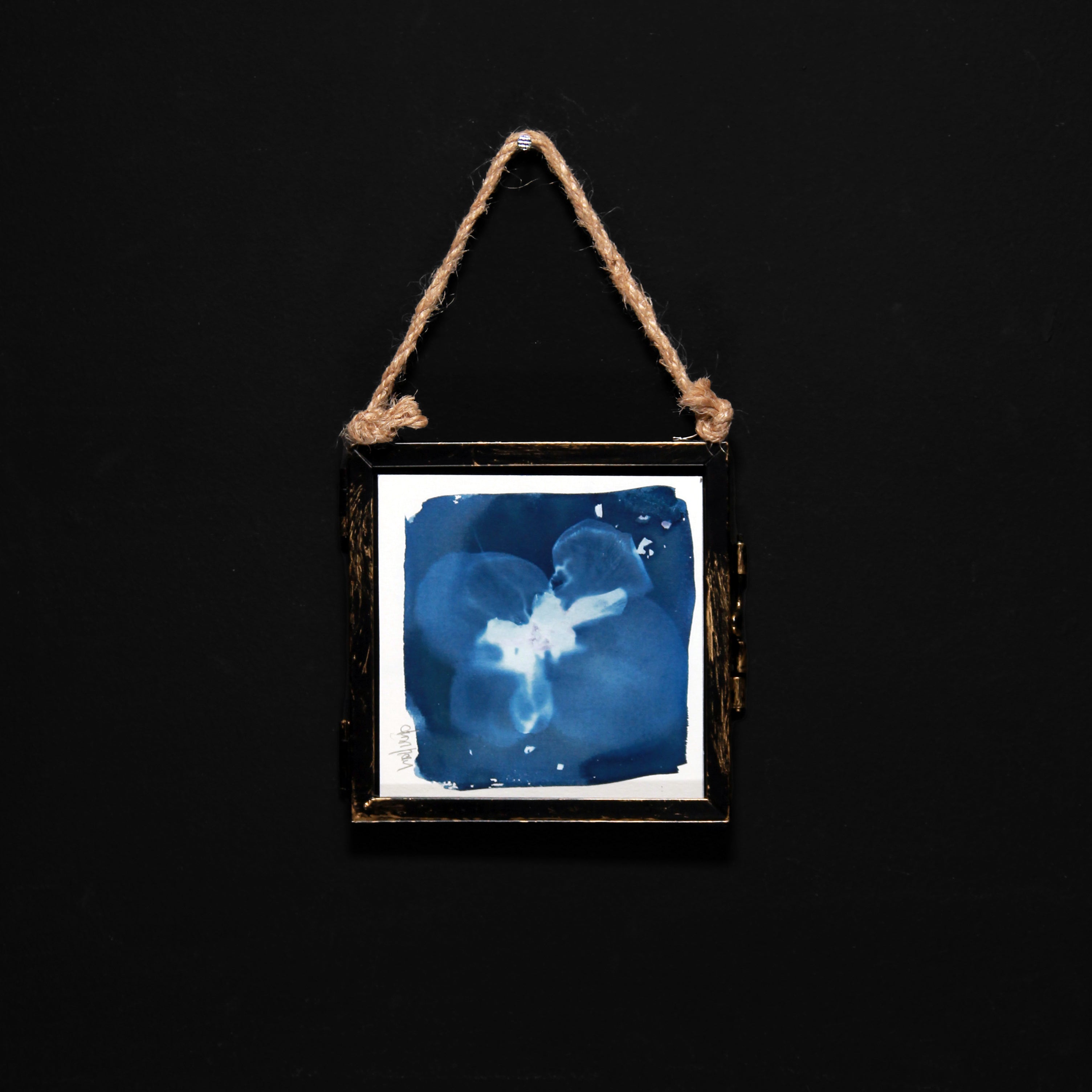 Cyanotype | Floral motif in glass frame | 10 x 10 cm