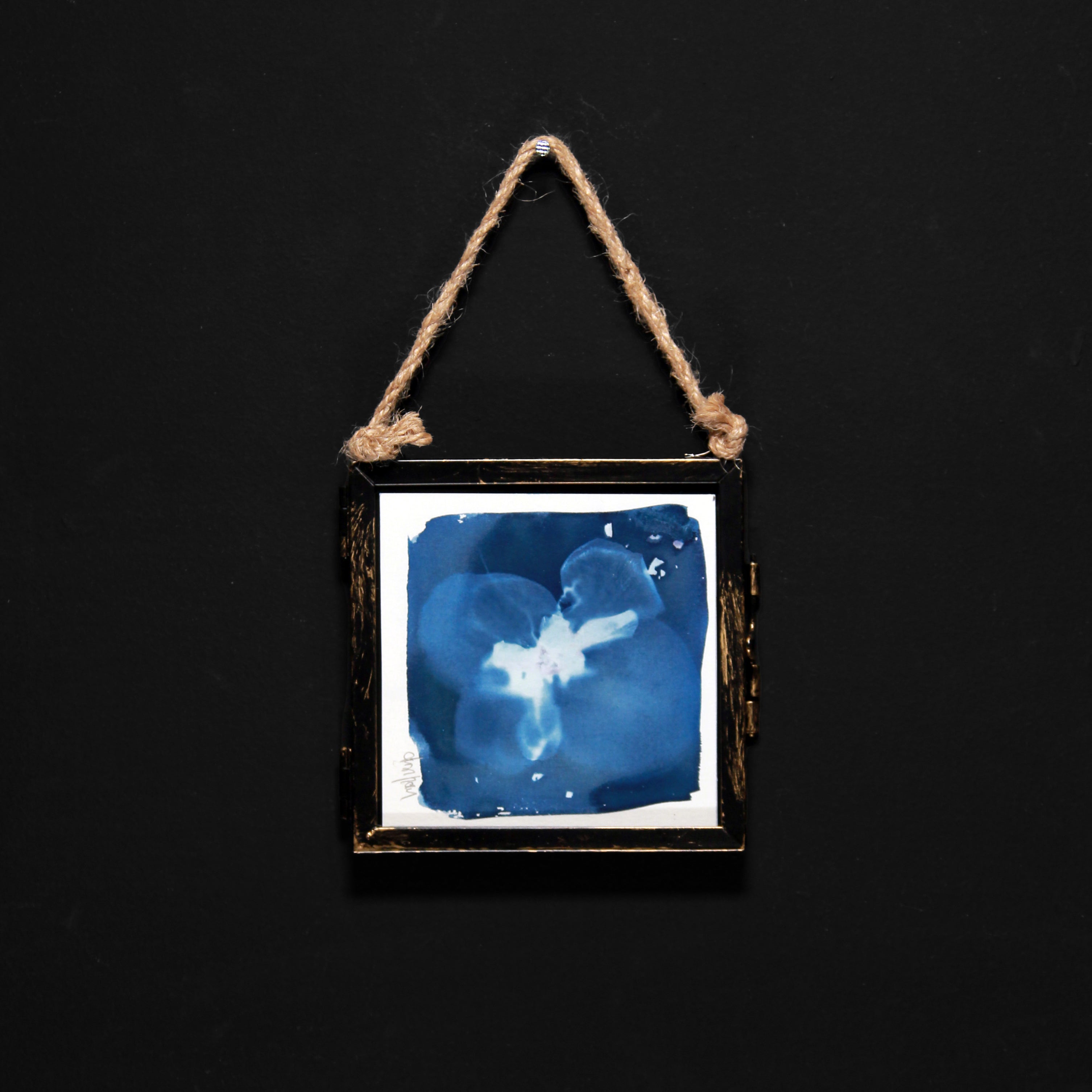 Cyanotype | Floral motif in glass frame | 10 x 10 cm