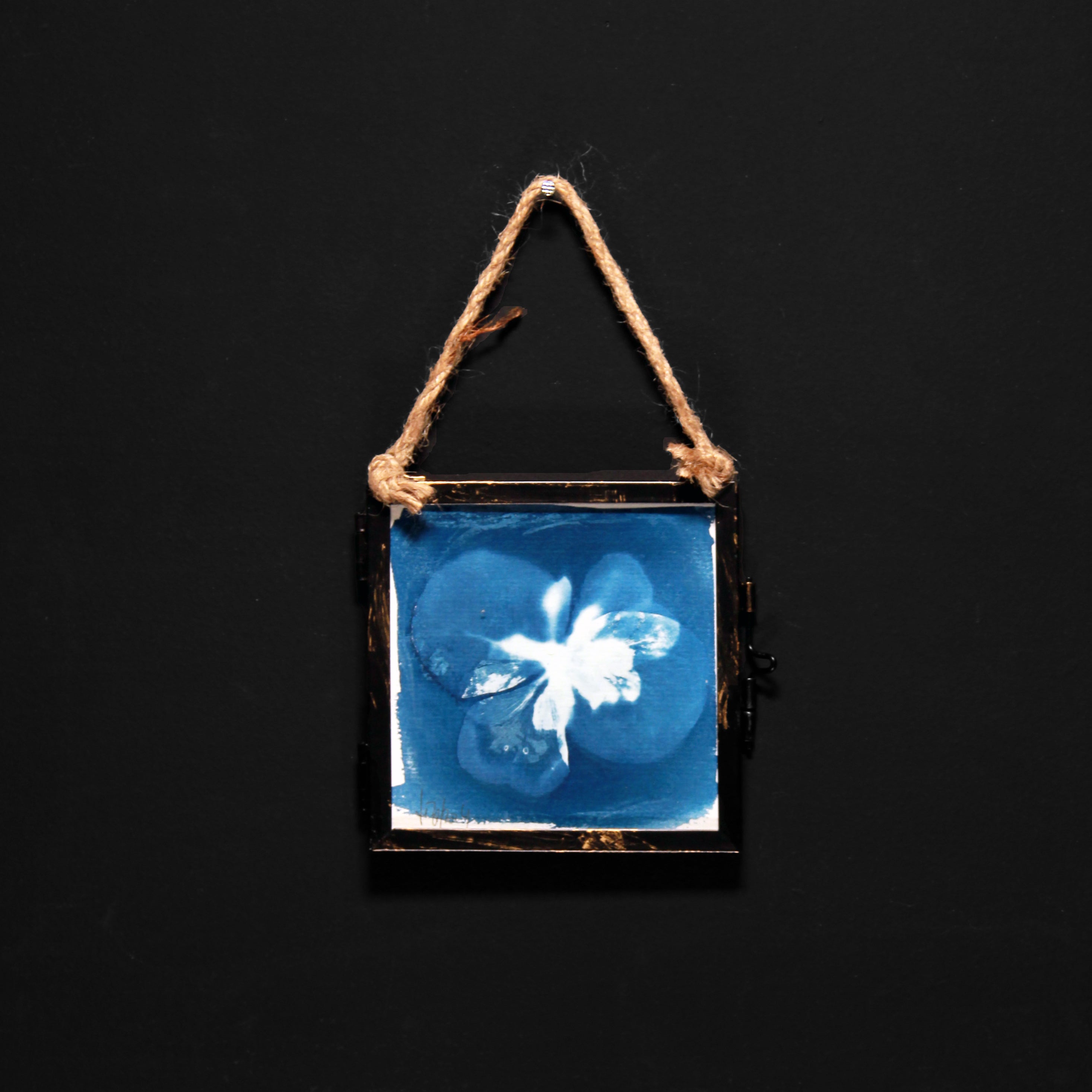 Cyanotype | Floral motif in glass frame | 10 x 10 cm