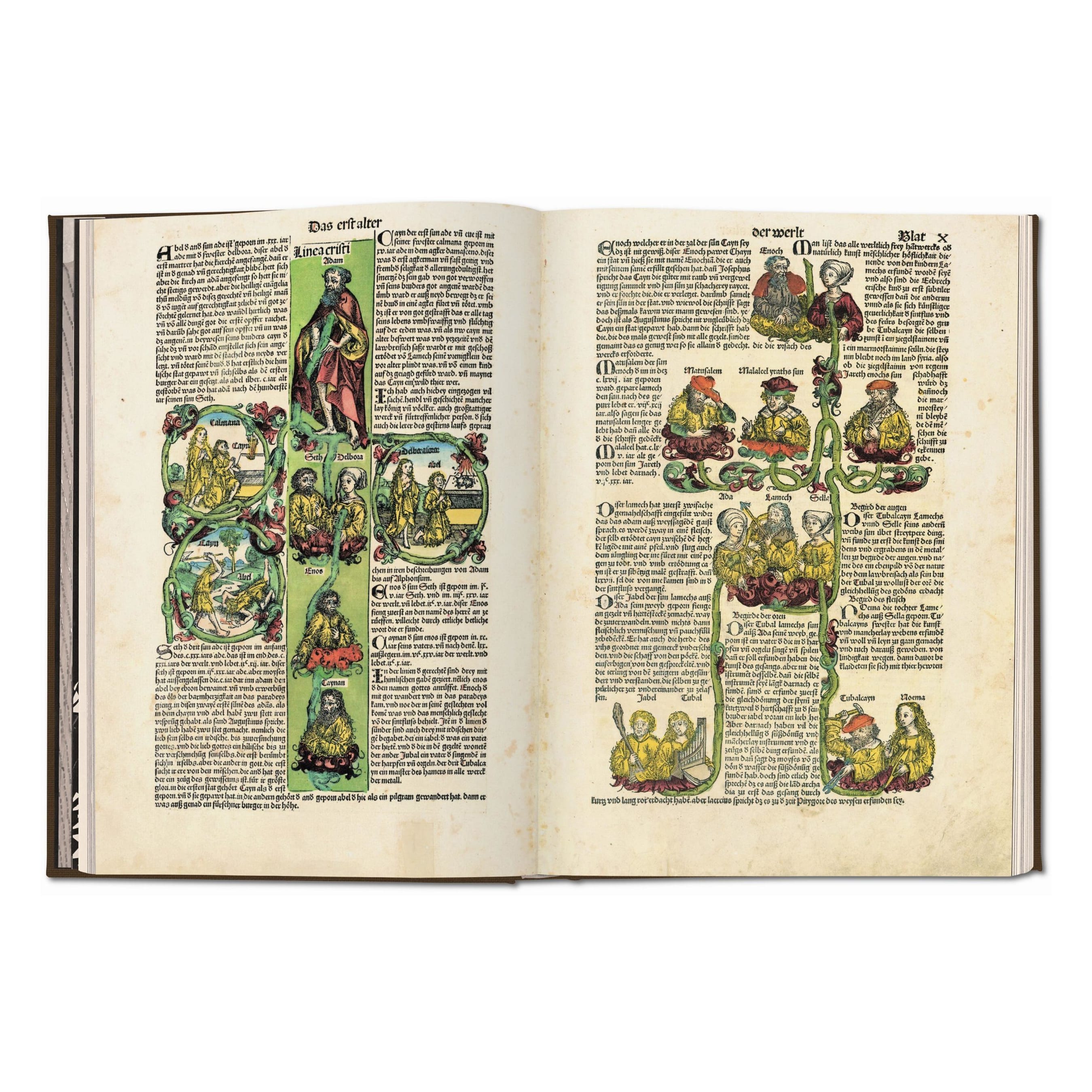 Schedel. Weltchronik - 1493. Kolorierte Gesamtausgabe (German)