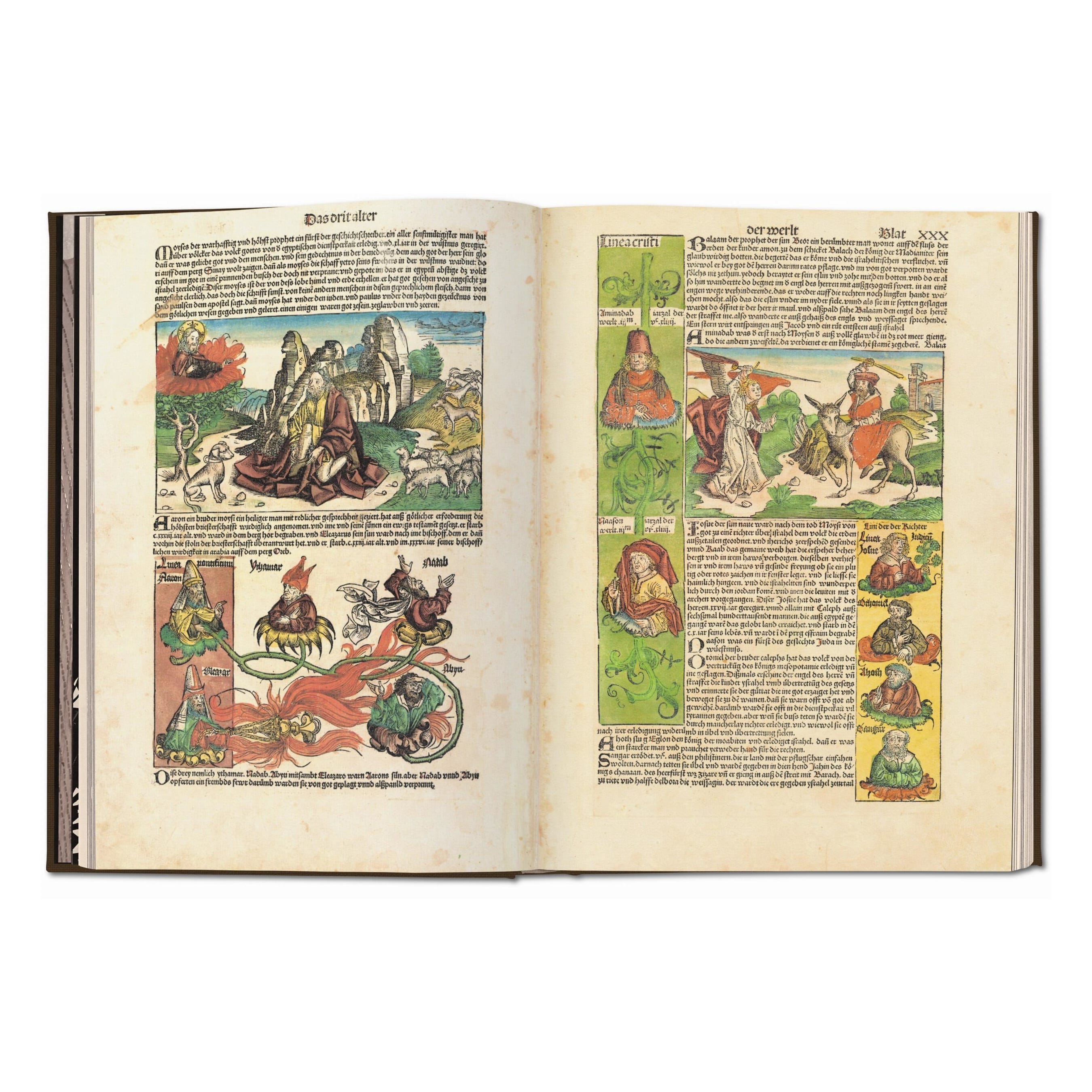 Schedel. Weltchronik - 1493. Kolorierte Gesamtausgabe (German)