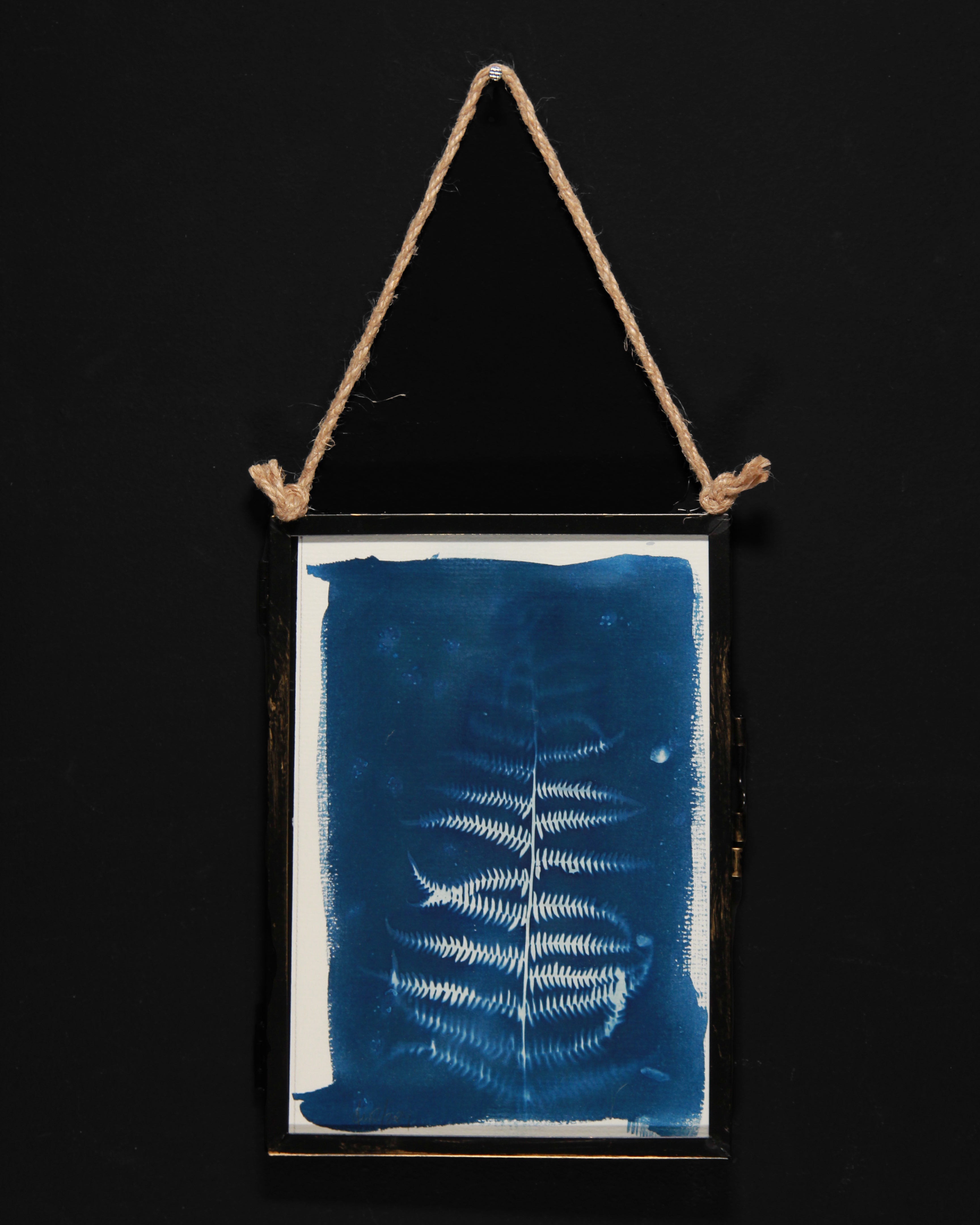 Cyanotype | Floral motif in glass frame | 18x13 cm