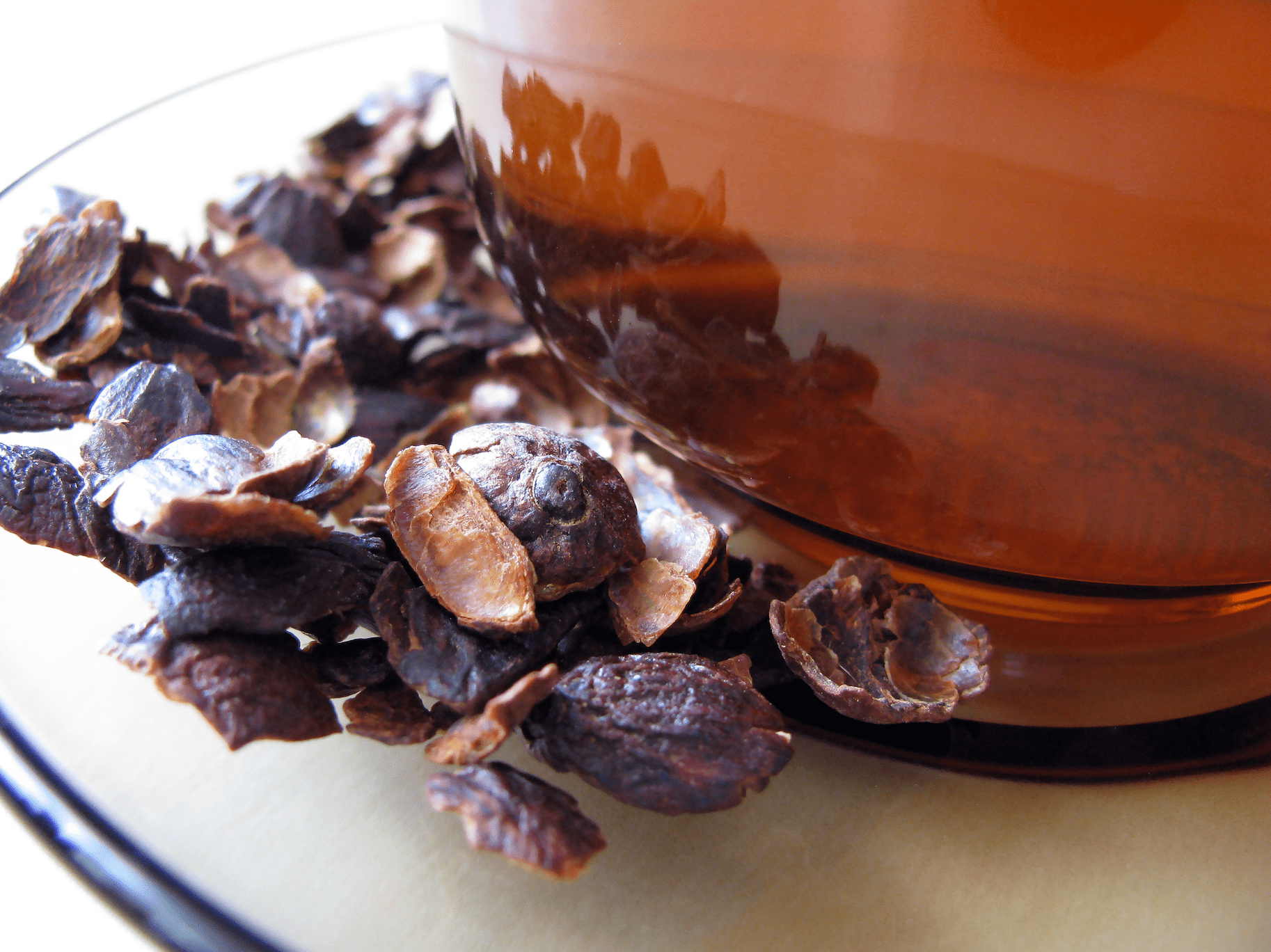 Cascara I Kaffeekirschen-Tee aus Costa Rica