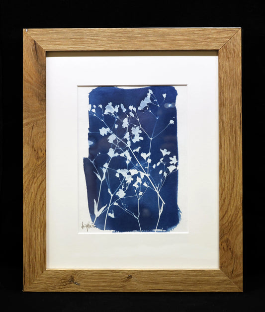 Blaudruck | Floral | Blümchen - Pixel Cafe Cologne Abstrakt, Alternative Fotografie, Art, Blau, Blaudruck, Cyanotype, Cyanotypie, Druckkunst, Floral, Geschenk, Geschenkartikel, Geschenkidee, Kunst, Kunst aus Köln, Kunstdruck, Unikat