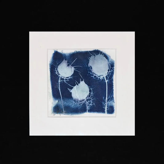 Blaudruck | Floral V - Pixel Cafe Cologne Abstrakt, Alternative Fotografie, Art, Blau, Blaudruck, Cyanotype, Cyanotypie, Druckkunst, Floral, Geschenk, Geschenkartikel, Geschenkidee, Kunst, Kunst aus Köln, Kunstdruck, Unikat