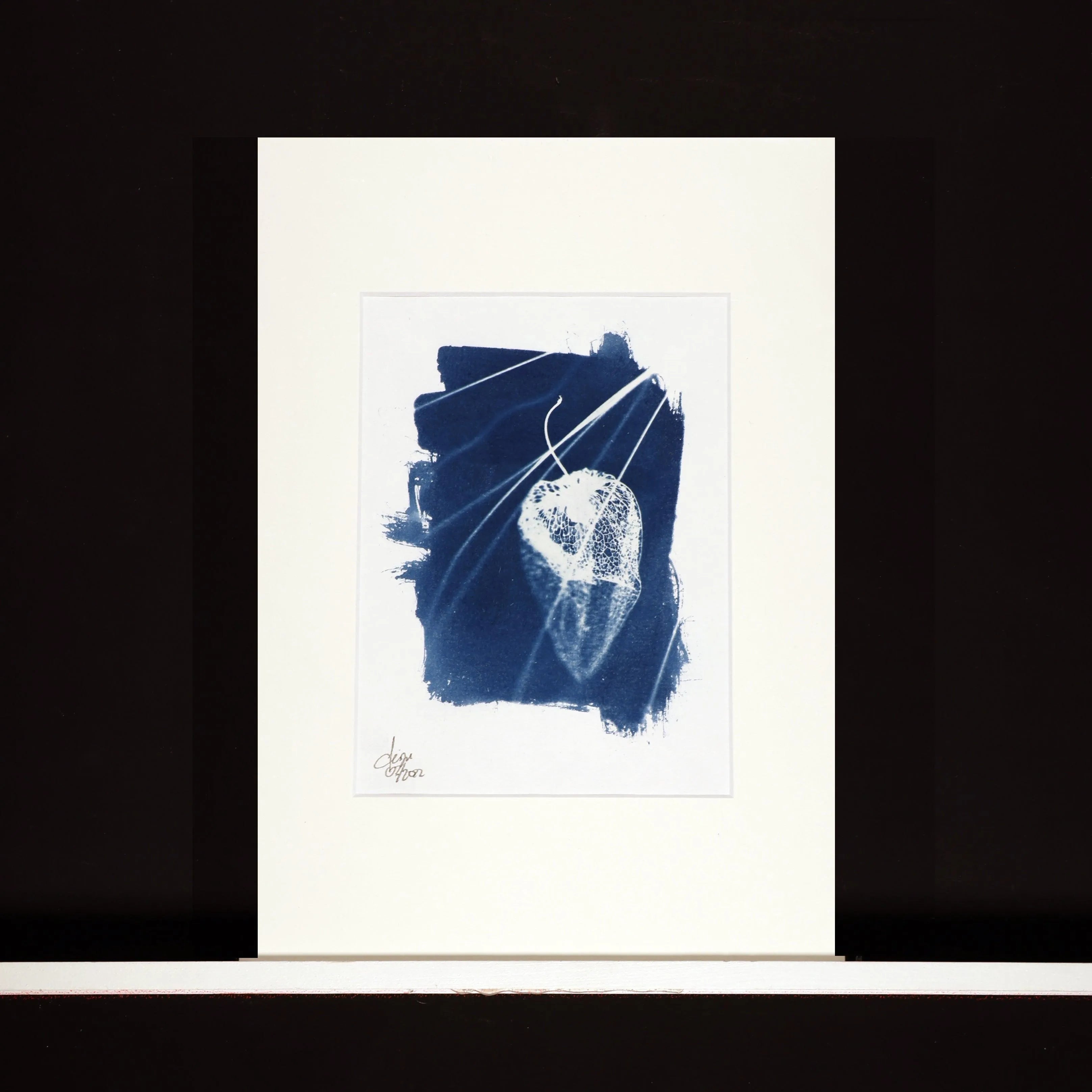 Blaudruck | Lampion - Pixel Cafe Cologne Abstrakt, Alternative Fotografie, Art, Blau, Blaudruck, Cyanotype, Cyanotypie, Druckkunst, Floral, Geschenk, Geschenkartikel, Geschenkidee, Kunst, Kunst aus Köln, Kunstdruck, Unikat