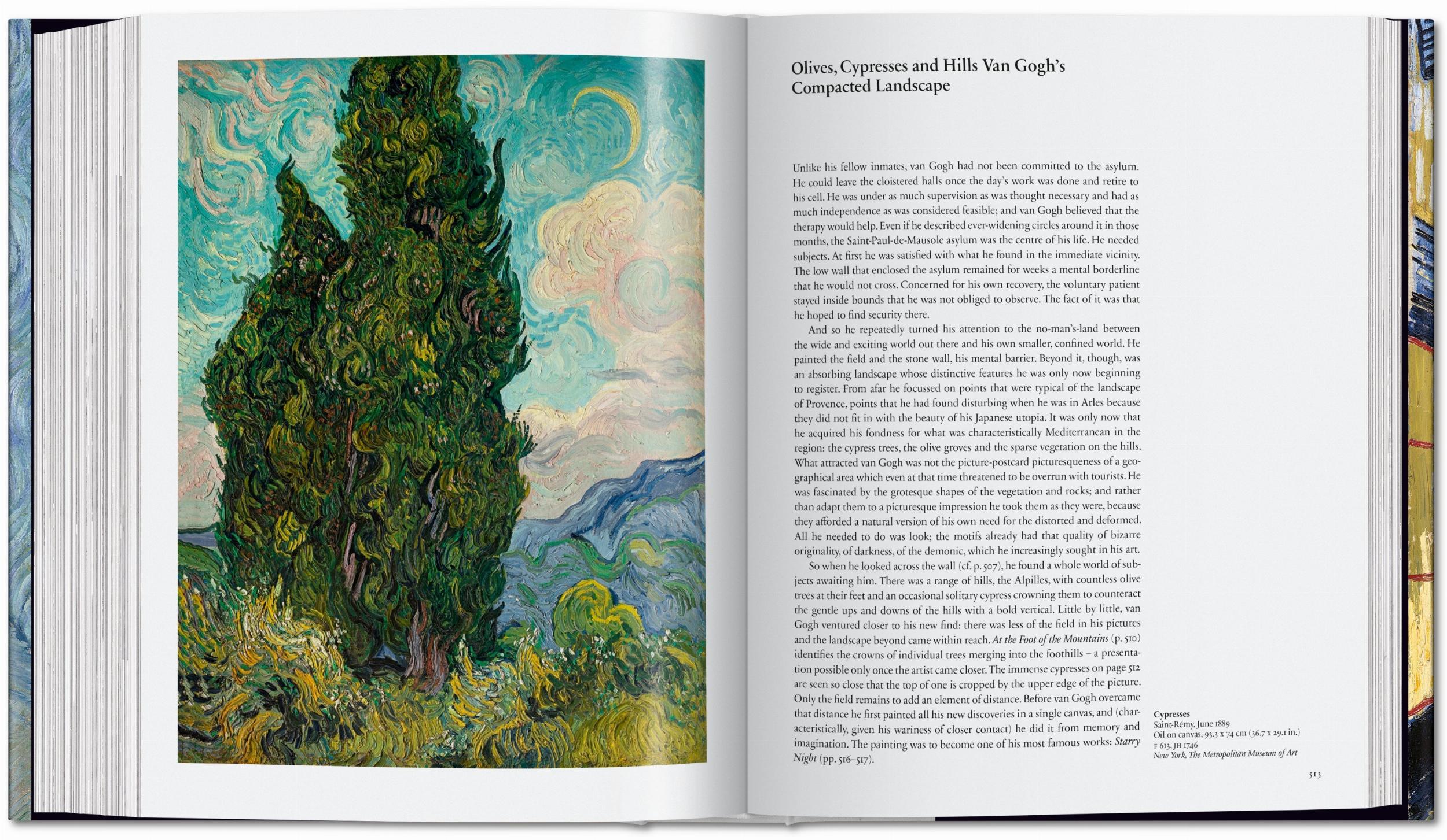 Van Gogh. Sämtliche Gemälde (German)
